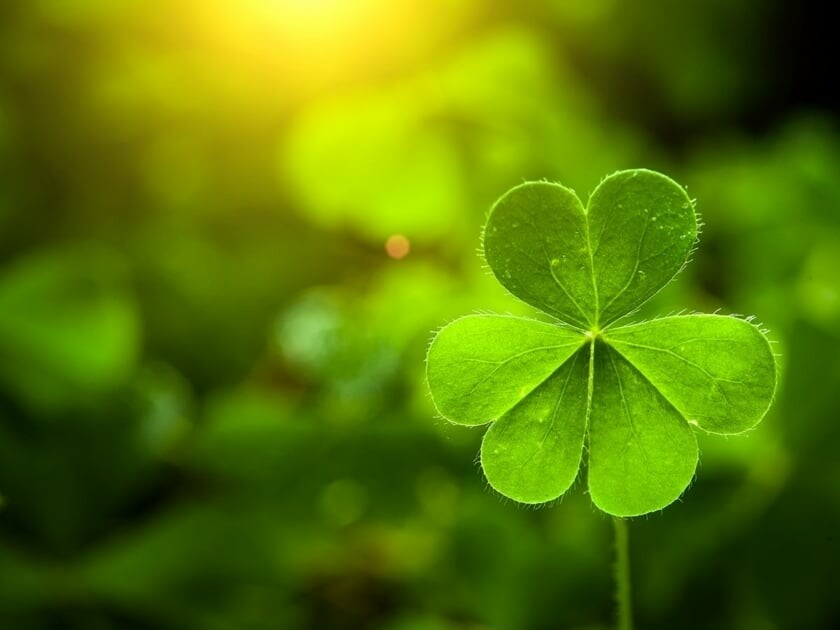 St. Patrick’s Day: The history behind the luck