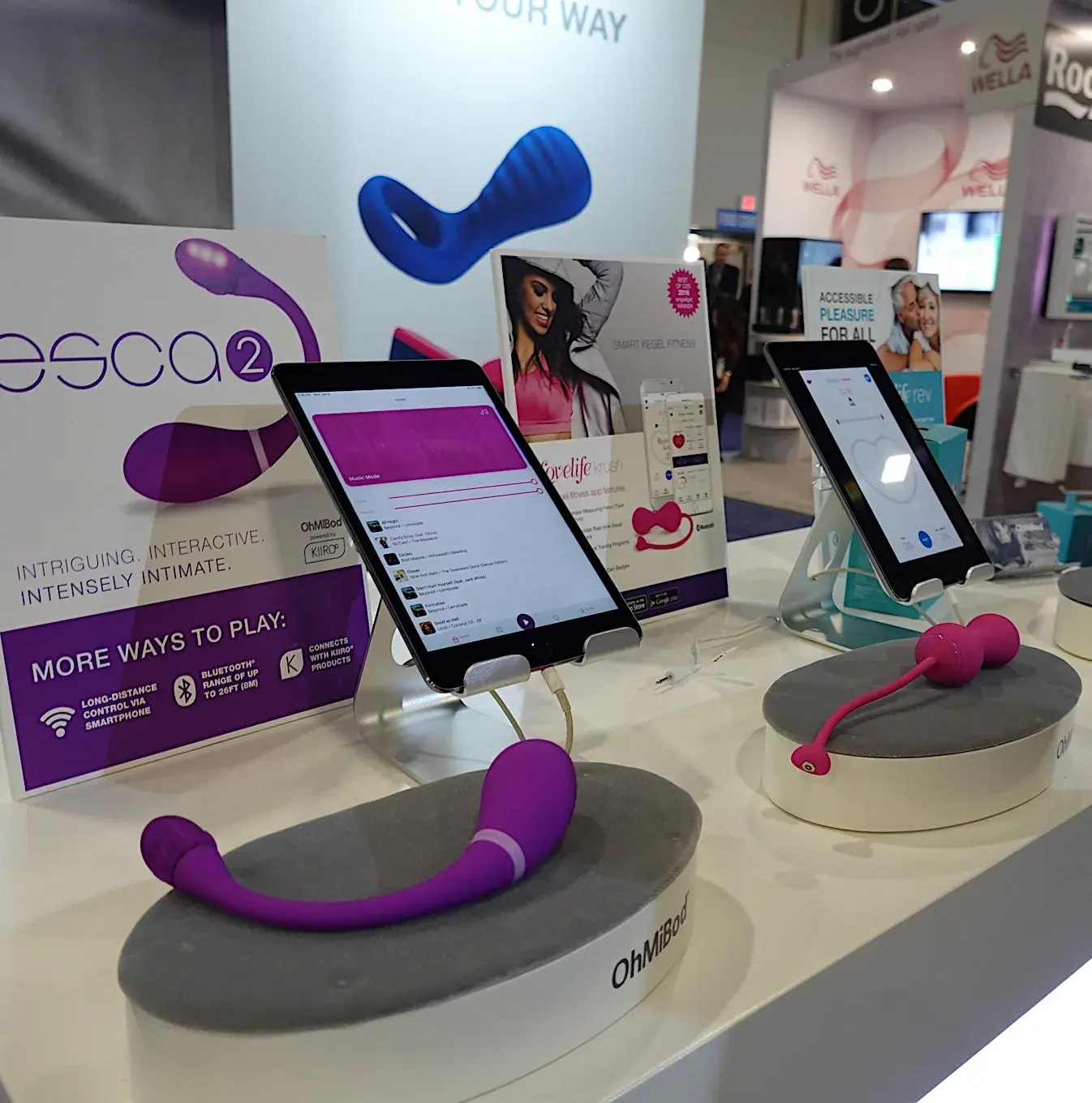 Regulations on Sex Tech: Navigating the Legal Minefield in 2025