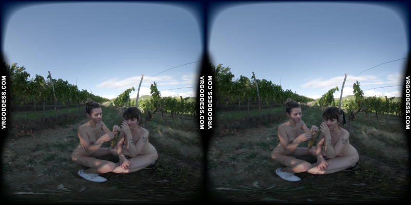 Josie And Sofie On Vacation In Italy Naked In Wine Vineyard During Harvest Time - Image 6